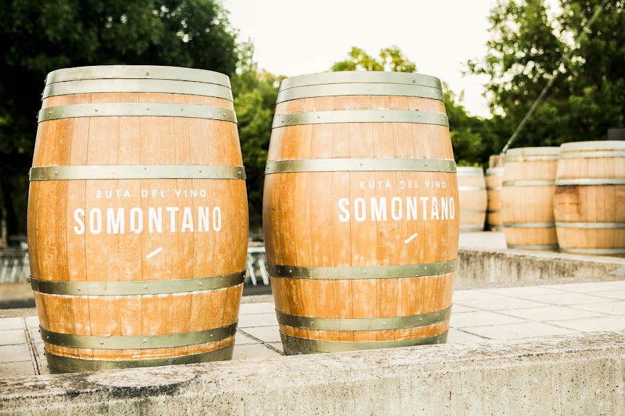 Ruta del Vino Somontano
