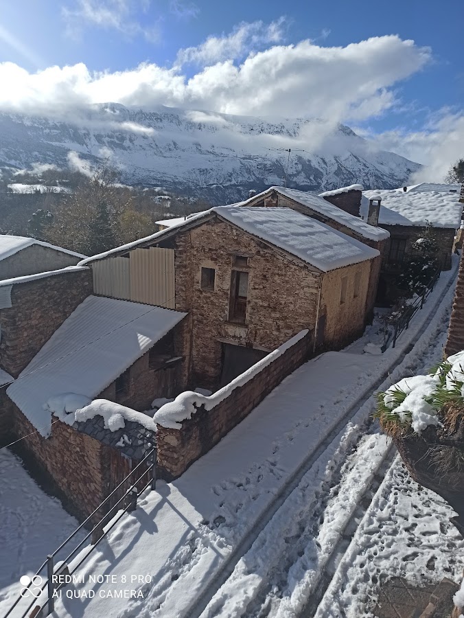 Apartamentos llorens