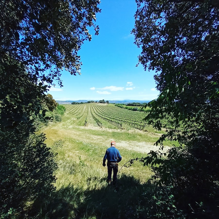 BIOCASTILLAZUELO S.C.