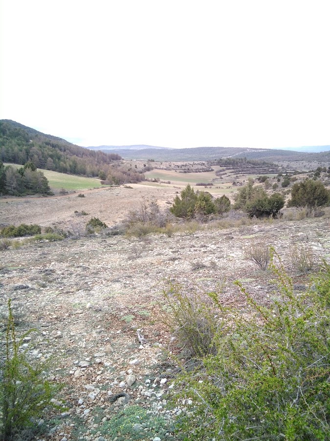 Casa Rural El Refugio del Toril